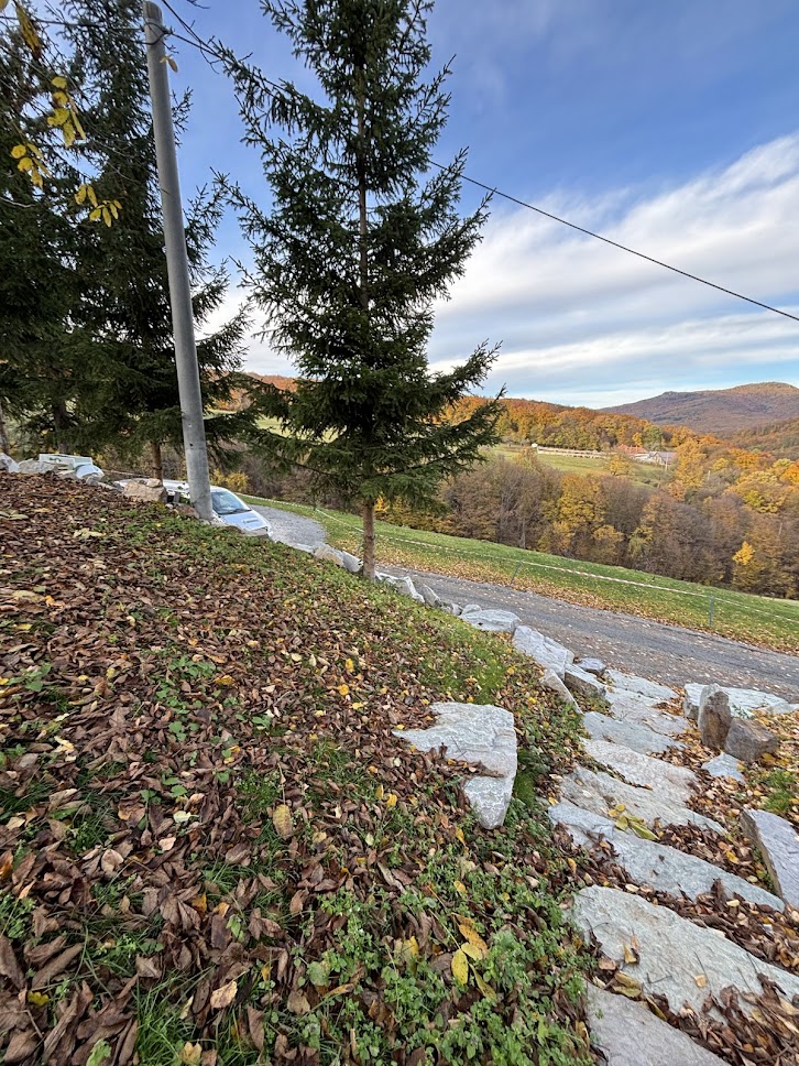 Hydroosev a spevňovanie svahu